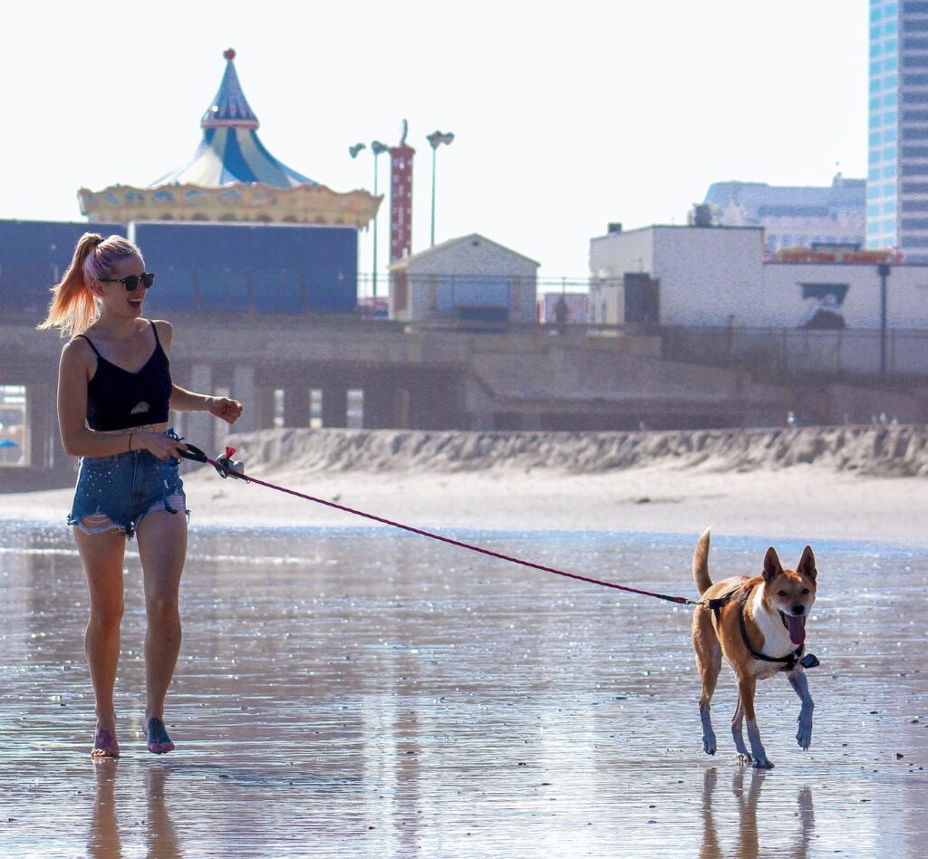 강아지 산책 안 시키면 안 되는 7가지 이유 중 강아지와 산책하는 사진