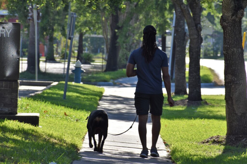 보호자와 산책을 하고 있는 강아지
강아지 산책 방법 및 좋은 산책